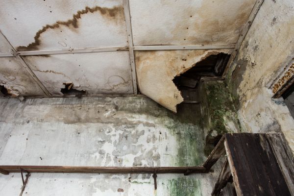 Water Damage Service in Pewaukee