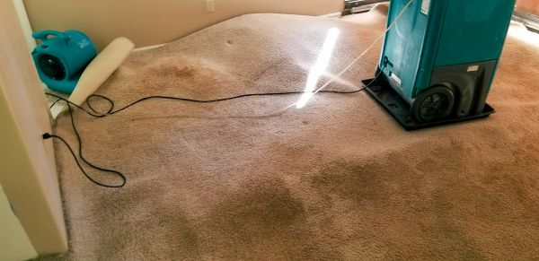 Flood Damage Cleanup in Pewaukee