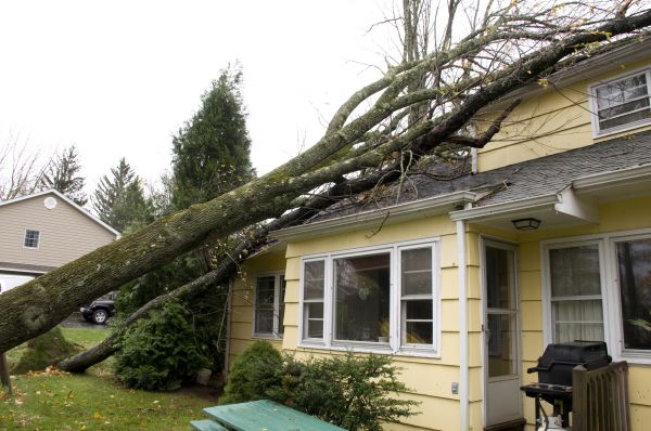 Hurricane Damage Repair in Pewaukee